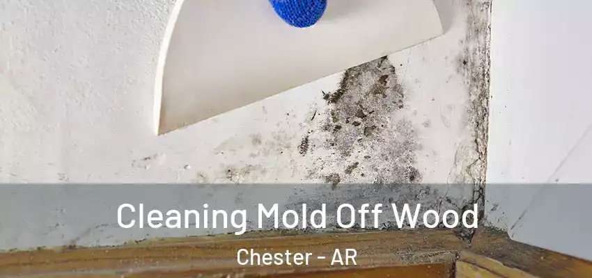  Cleaning Mold Off Wood Chester - AR