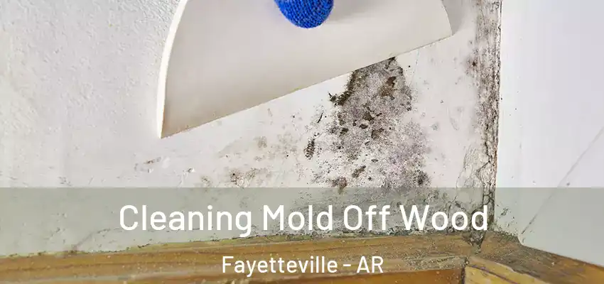  Cleaning Mold Off Wood Fayetteville - AR