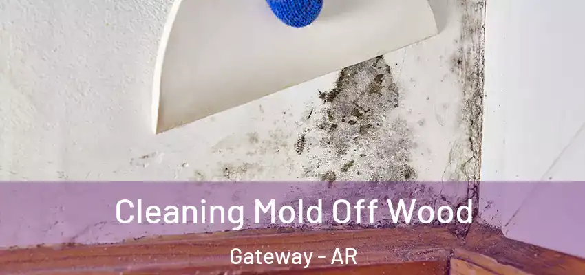  Cleaning Mold Off Wood Gateway - AR