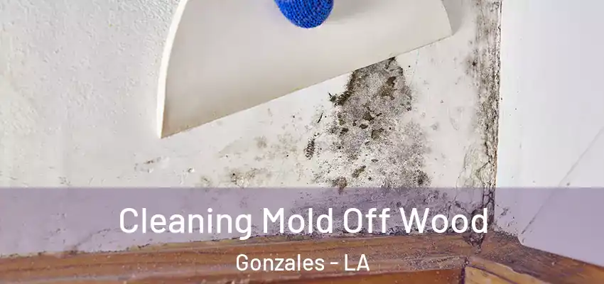  Cleaning Mold Off Wood Gonzales - LA