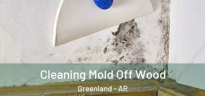  Cleaning Mold Off Wood Greenland - AR