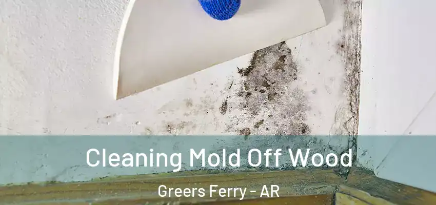  Cleaning Mold Off Wood Greers Ferry - AR