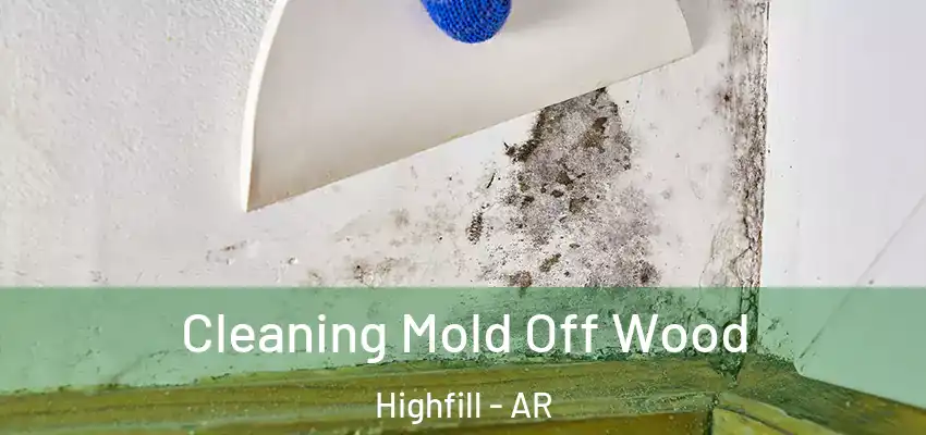  Cleaning Mold Off Wood Highfill - AR