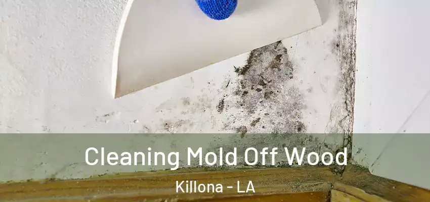 Cleaning Mold Off Wood Killona - LA