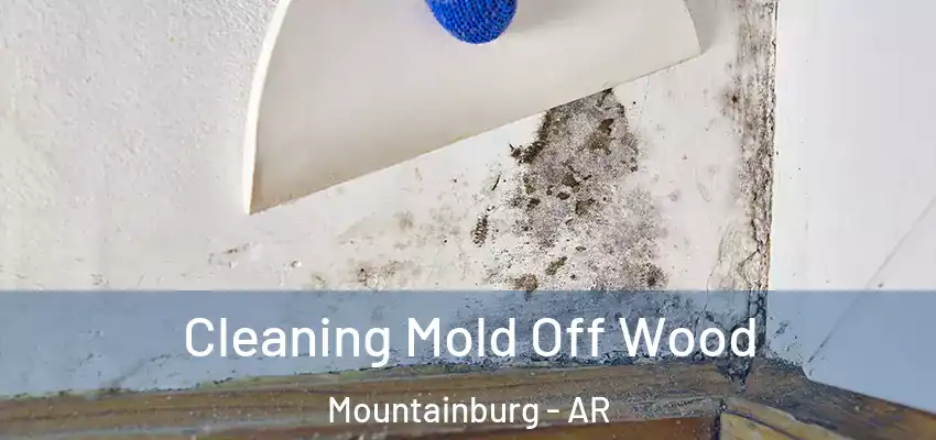  Cleaning Mold Off Wood Mountainburg - AR