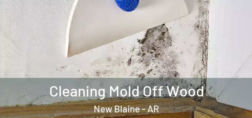  Cleaning Mold Off Wood New Blaine - AR