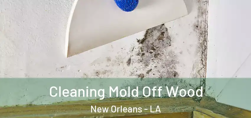  Cleaning Mold Off Wood New Orleans - LA