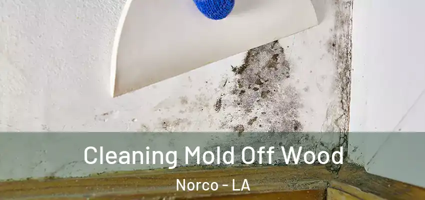  Cleaning Mold Off Wood Norco - LA