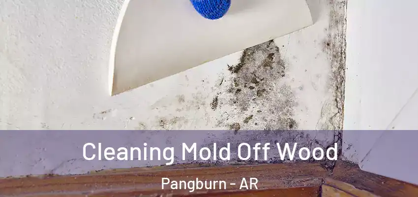  Cleaning Mold Off Wood Pangburn - AR