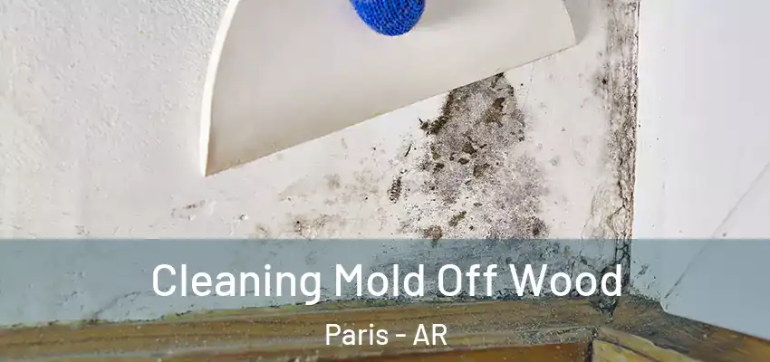  Cleaning Mold Off Wood Paris - AR