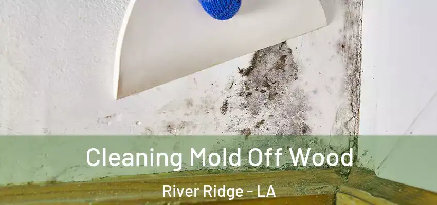  Cleaning Mold Off Wood River Ridge - LA