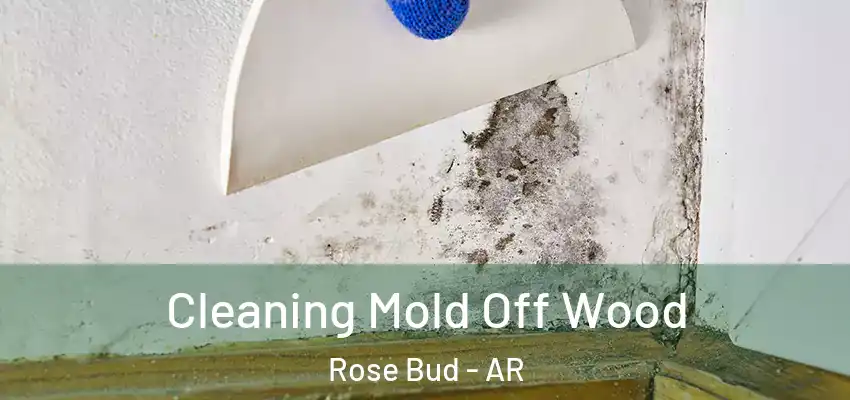 Cleaning Mold Off Wood Rose Bud - AR