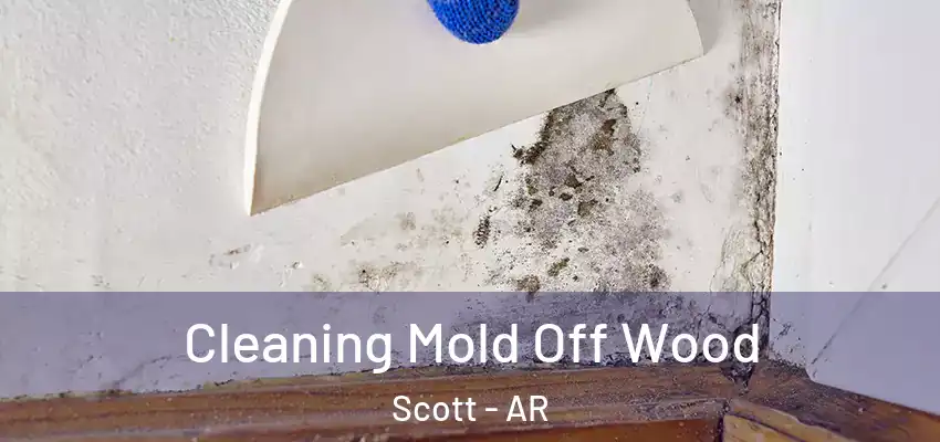  Cleaning Mold Off Wood Scott - AR