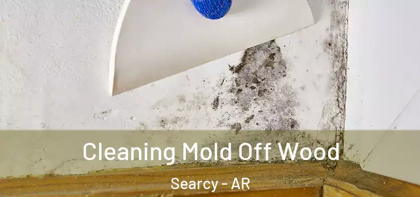  Cleaning Mold Off Wood Searcy - AR