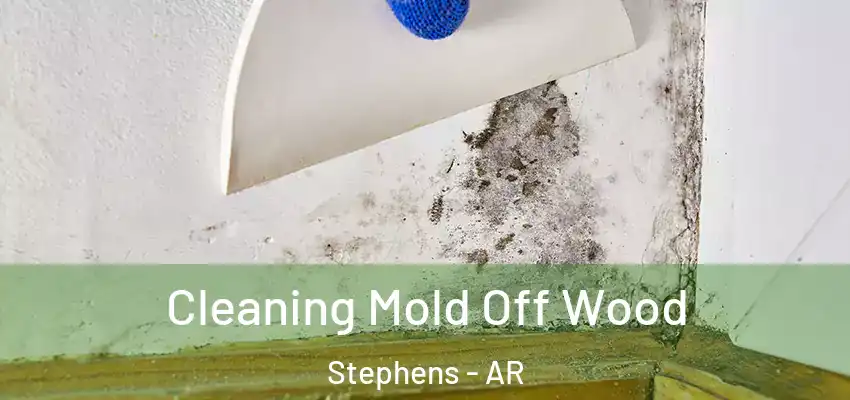  Cleaning Mold Off Wood Stephens - AR
