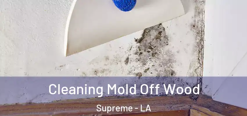  Cleaning Mold Off Wood Supreme - LA