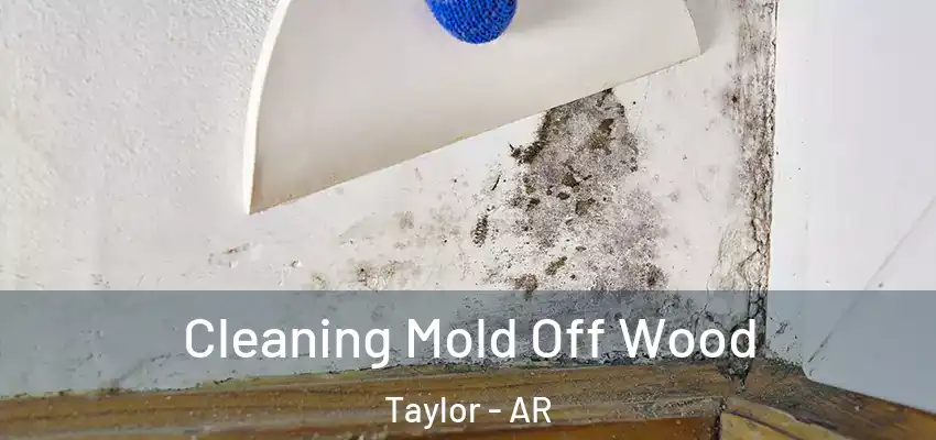  Cleaning Mold Off Wood Taylor - AR