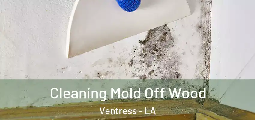 Cleaning Mold Off Wood Ventress - LA