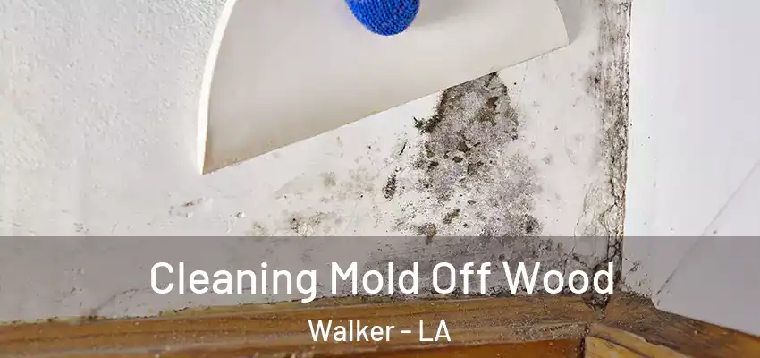  Cleaning Mold Off Wood Walker - LA