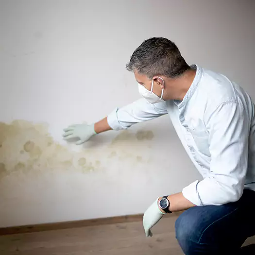 Trusted Mold Remediation and Removal Experts in Bentonville, AR