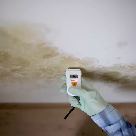 Reliable Mold Inspection Experts in Bentonville, AR