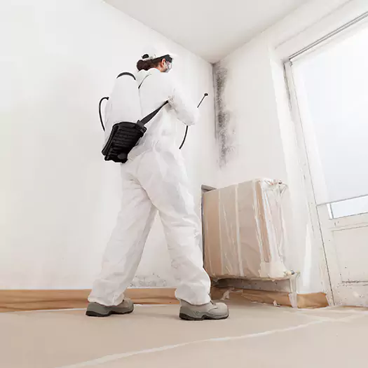 Experienced Mold & Mildew Specialists in Bentonville, AR