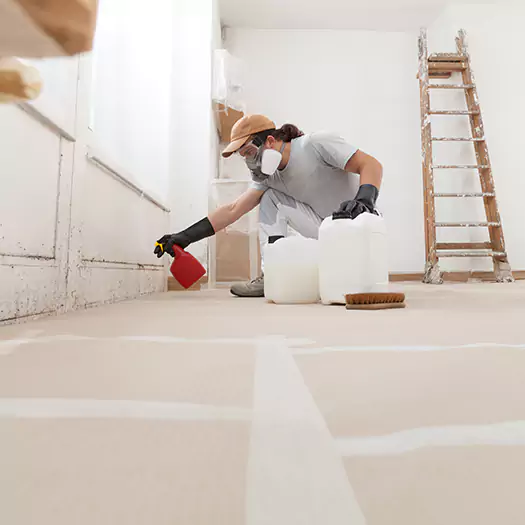 Reliable Mold Stain Remover Specialists in Bentonville, AR