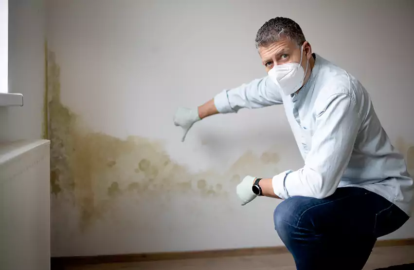 Mold Removal in Bentonville, AR