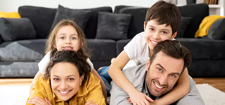 Mold Stain Remover for Wood in Bentonville, AR