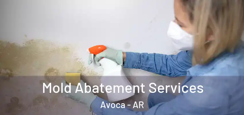 Mold Abatement Services Avoca - AR