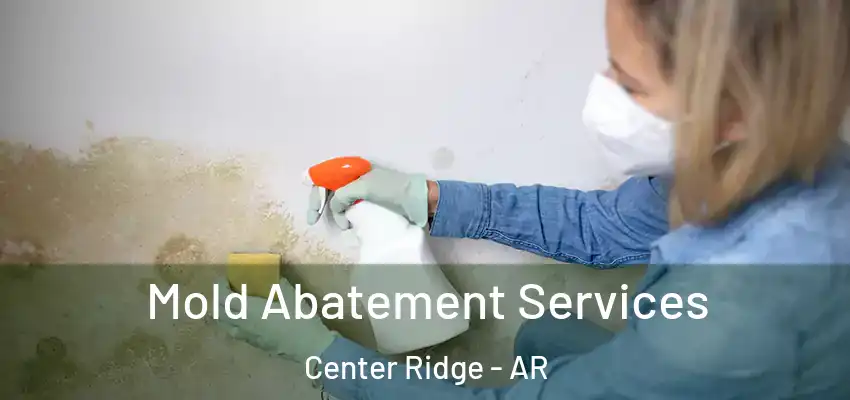  Mold Abatement Services Center Ridge - AR