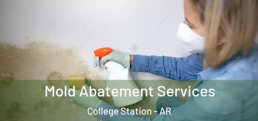  Mold Abatement Services College Station - AR