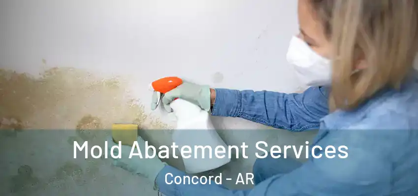  Mold Abatement Services Concord - AR