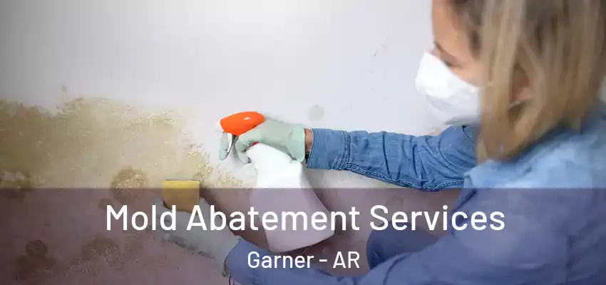  Mold Abatement Services Garner - AR