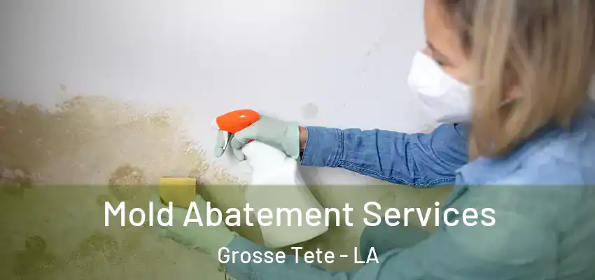  Mold Abatement Services Grosse Tete - LA