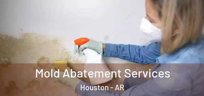  Mold Abatement Services Houston - AR