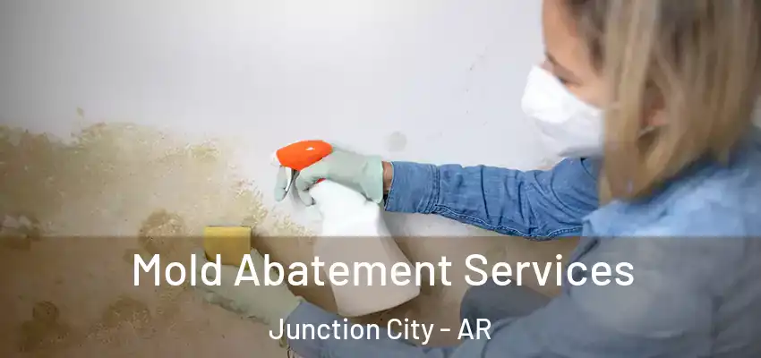  Mold Abatement Services Junction City - AR