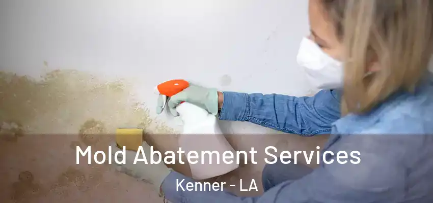  Mold Abatement Services Kenner - LA