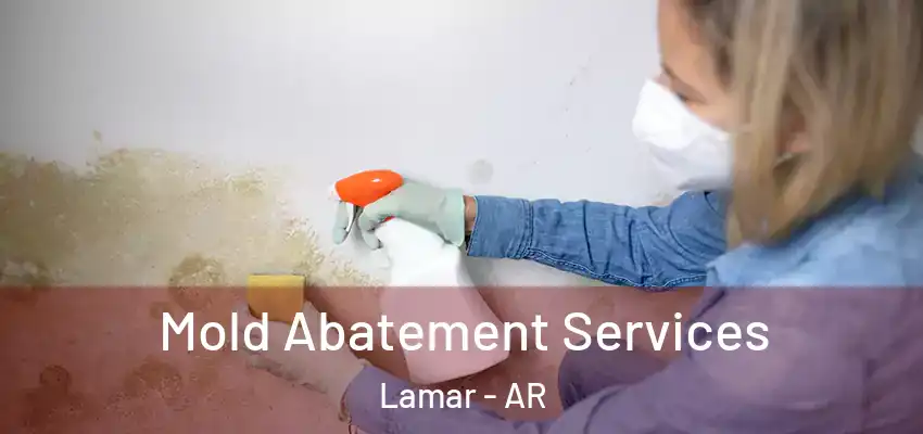 Mold Abatement Services Lamar - AR