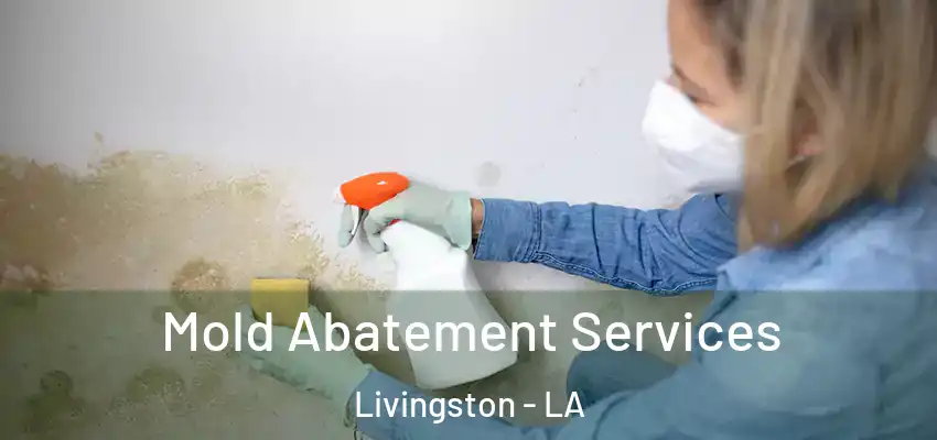  Mold Abatement Services Livingston - LA