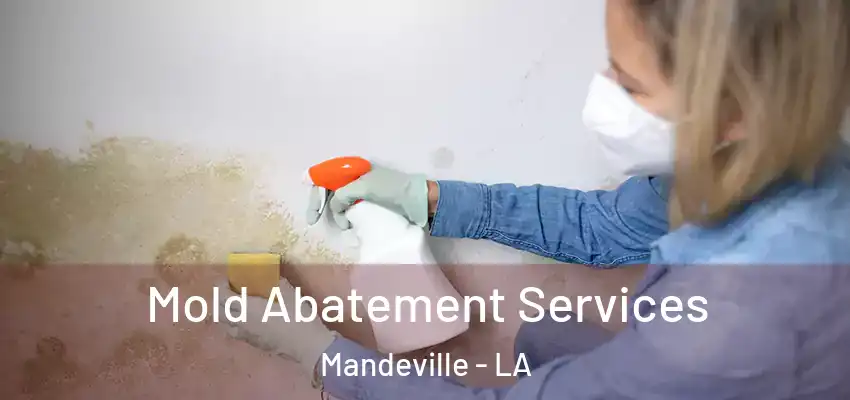  Mold Abatement Services Mandeville - LA