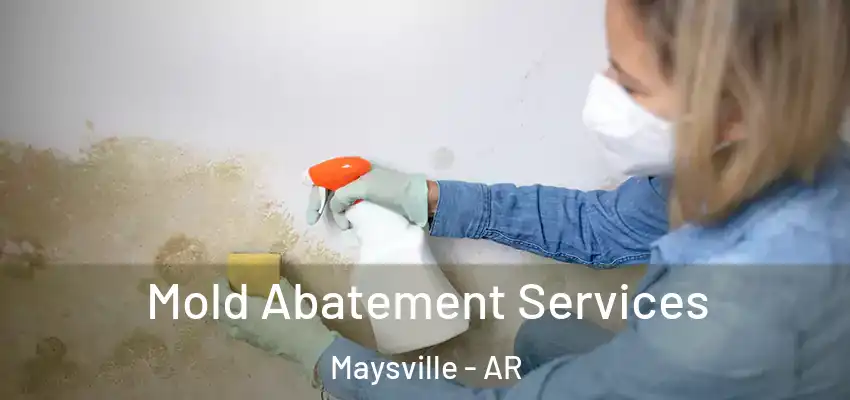  Mold Abatement Services Maysville - AR