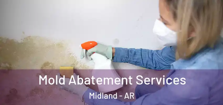 Mold Abatement Services Midland - AR