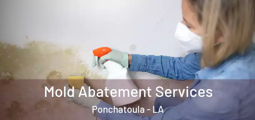  Mold Abatement Services Ponchatoula - LA