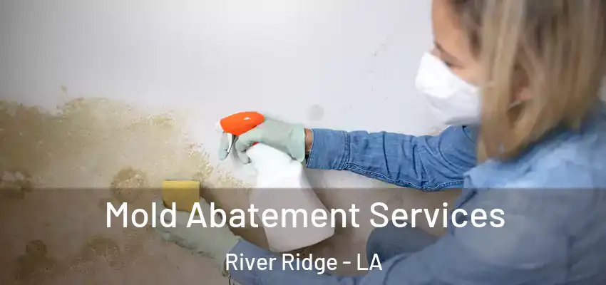 Mold Abatement Services River Ridge - LA