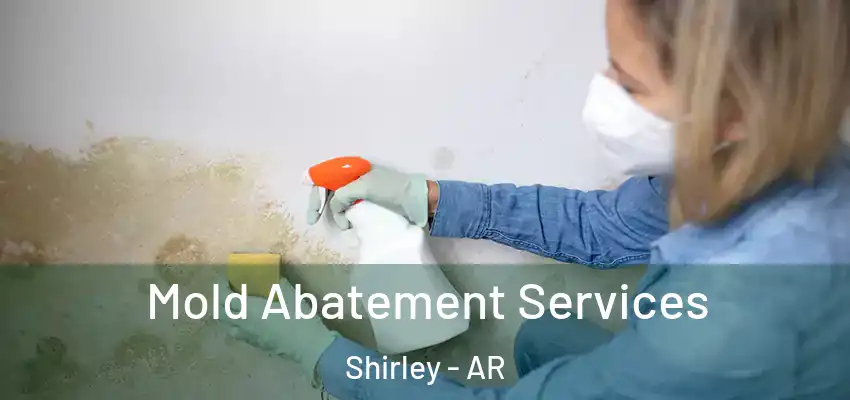  Mold Abatement Services Shirley - AR