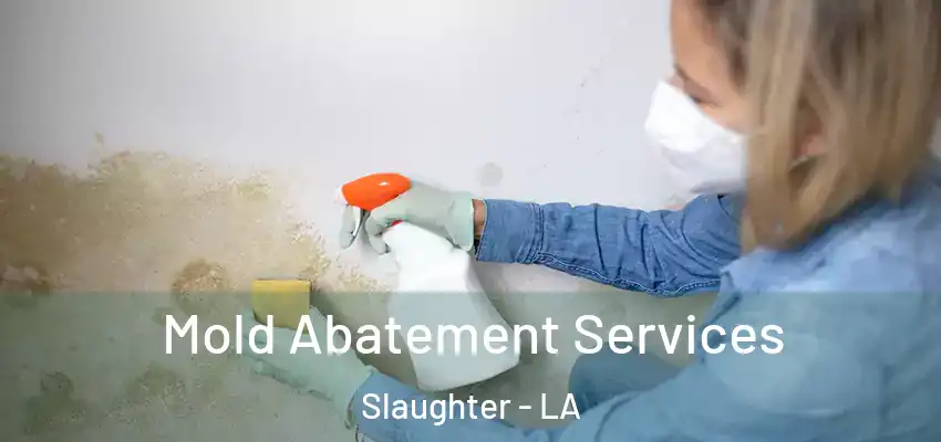  Mold Abatement Services Slaughter - LA