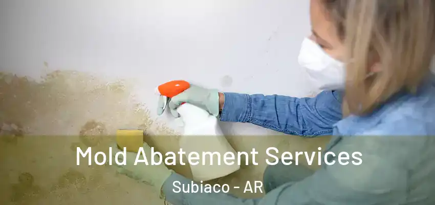  Mold Abatement Services Subiaco - AR