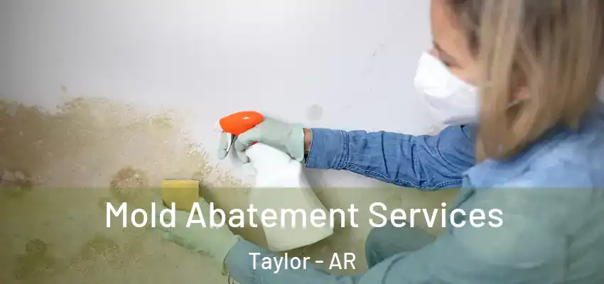  Mold Abatement Services Taylor - AR