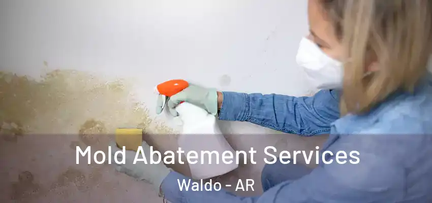  Mold Abatement Services Waldo - AR